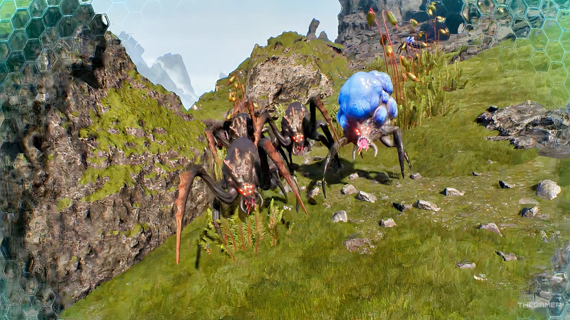 率土之滨平,民黑科技,司马师汉吕,FIFA,世界杯2026,2026FIFA世界杯预选赛,世界杯门票