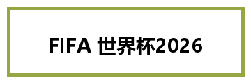 FIFA 世界杯2026
