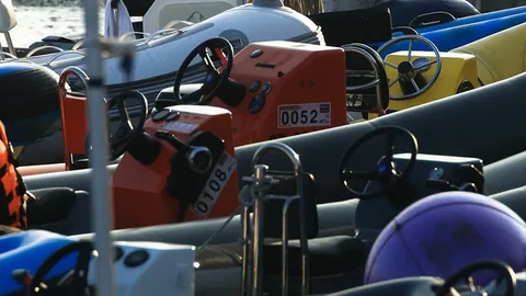 “影坛神秘新秀竟无人识？揭秘《侏罗纪世界》克里斯·帕拉特力挺AI“女神”蒂莉·诺伍德，恐慌传闻不攻自破！”